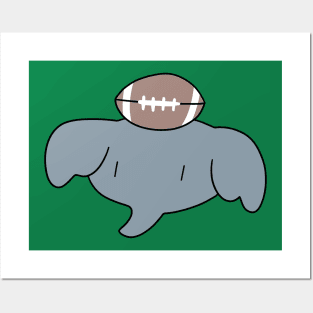 Football Elephant Face Posters and Art